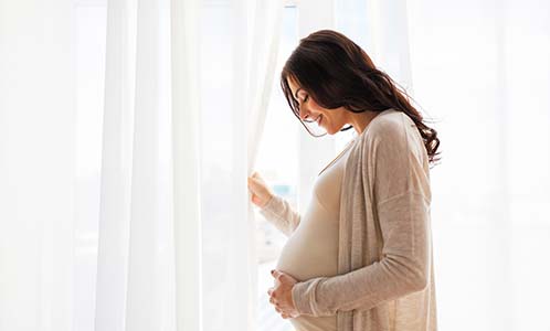 Modafinilo y Anticonceptivos Modafinilo en el Embarazo